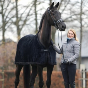 Flip Aimée Weise Dressage
