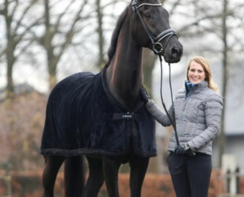 Aimée Weise Dressage
