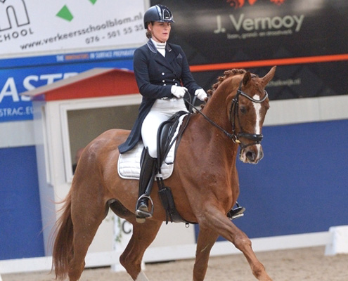 Aimee Weise Dressuur Dante