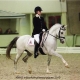 Aimee Weise Dressuur Kelly