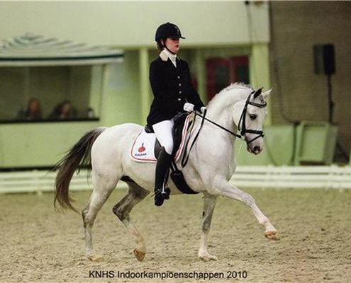 Aimee Weise Dressuur Kelly